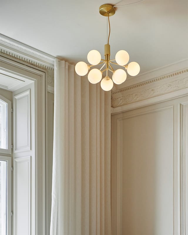 Apiales 9 in a panelled room
