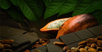 Dark chocolate pieces with a cocoa pod