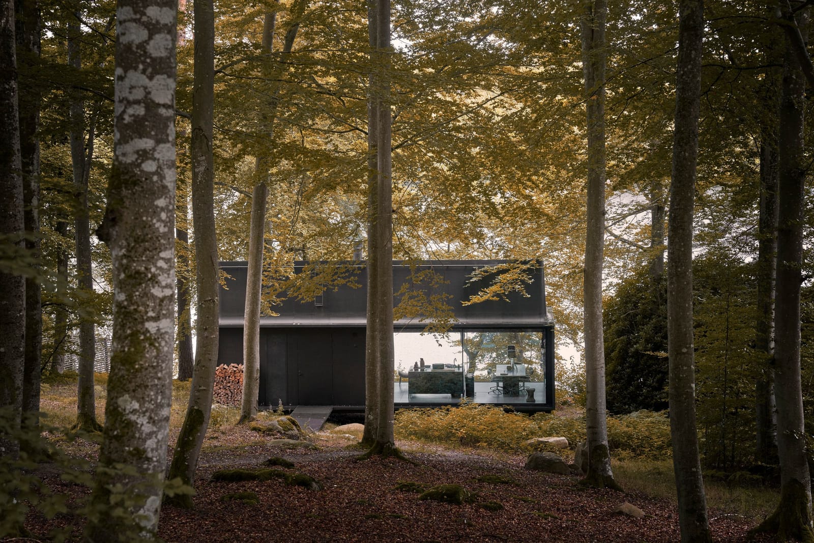 The black steel Shelter among beech trees at Lake Immeln