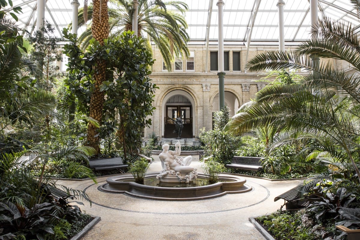 The Winter Garden with its palms and fountain