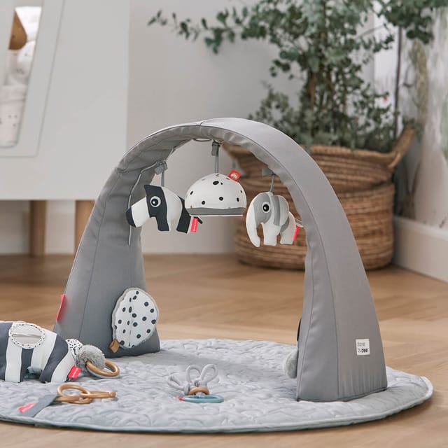 The Activity Gym standing over a play mat in a room