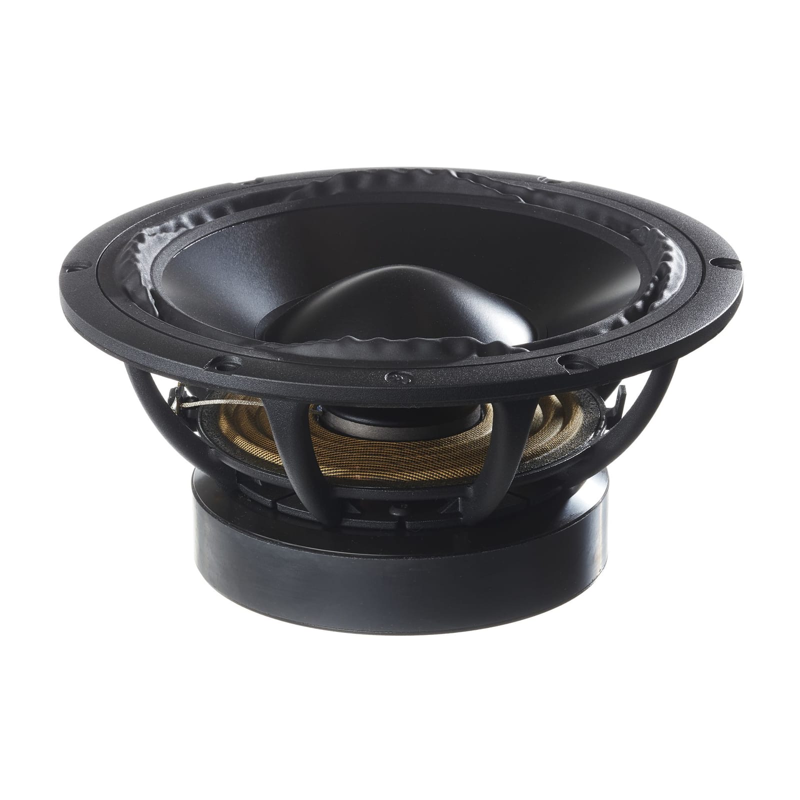 An Ushindi woofer with its aluminium cone