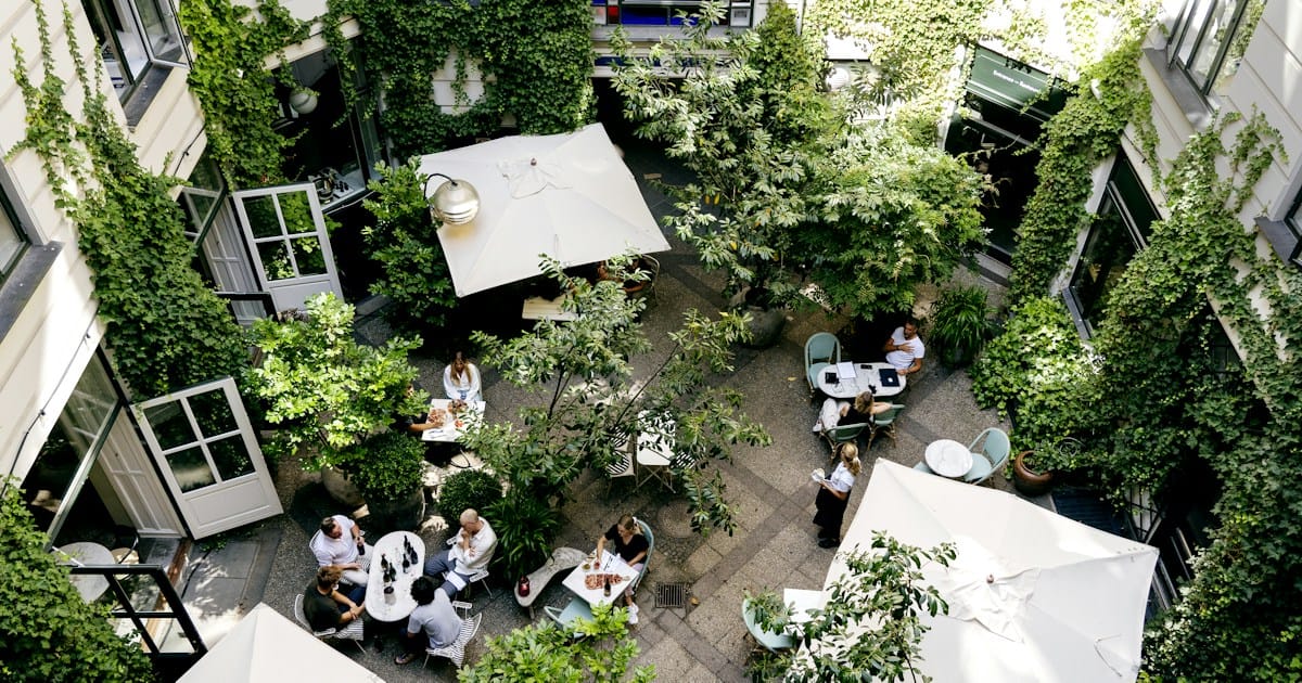 The green courtyard seen from above