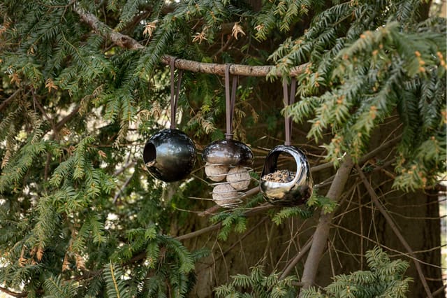 Three ornament bird feeders on a branch