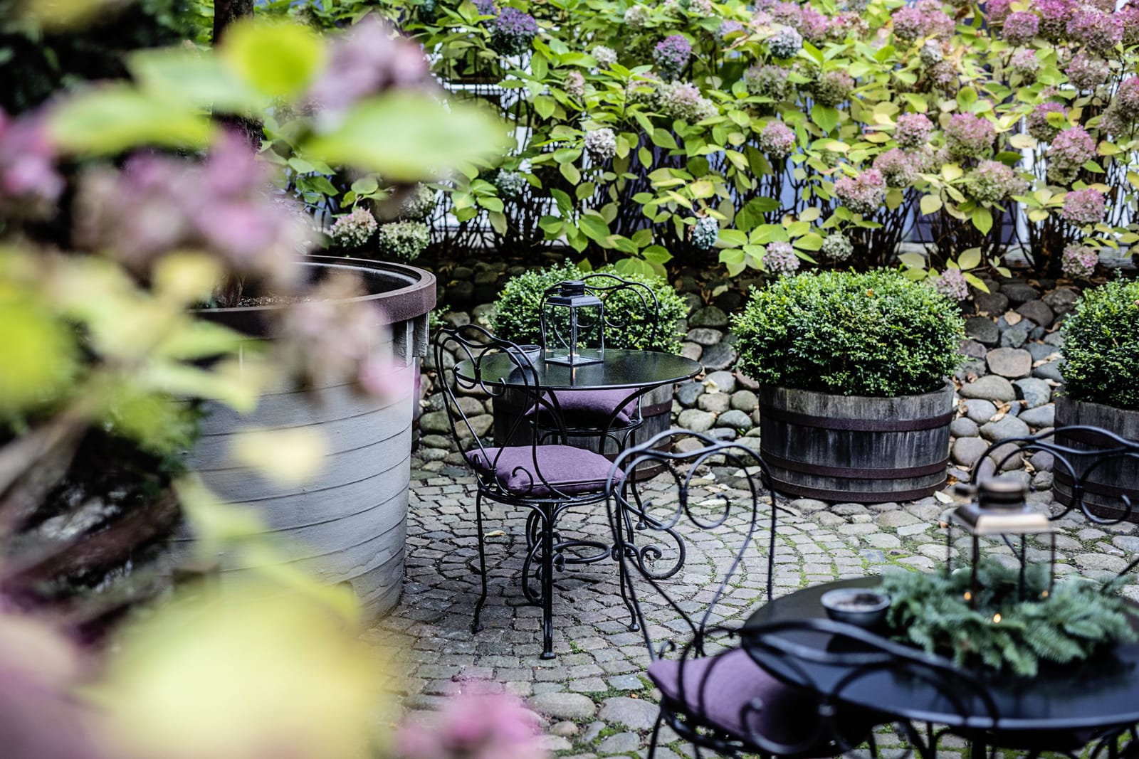 The cobbled courtyard with its hydrangeas