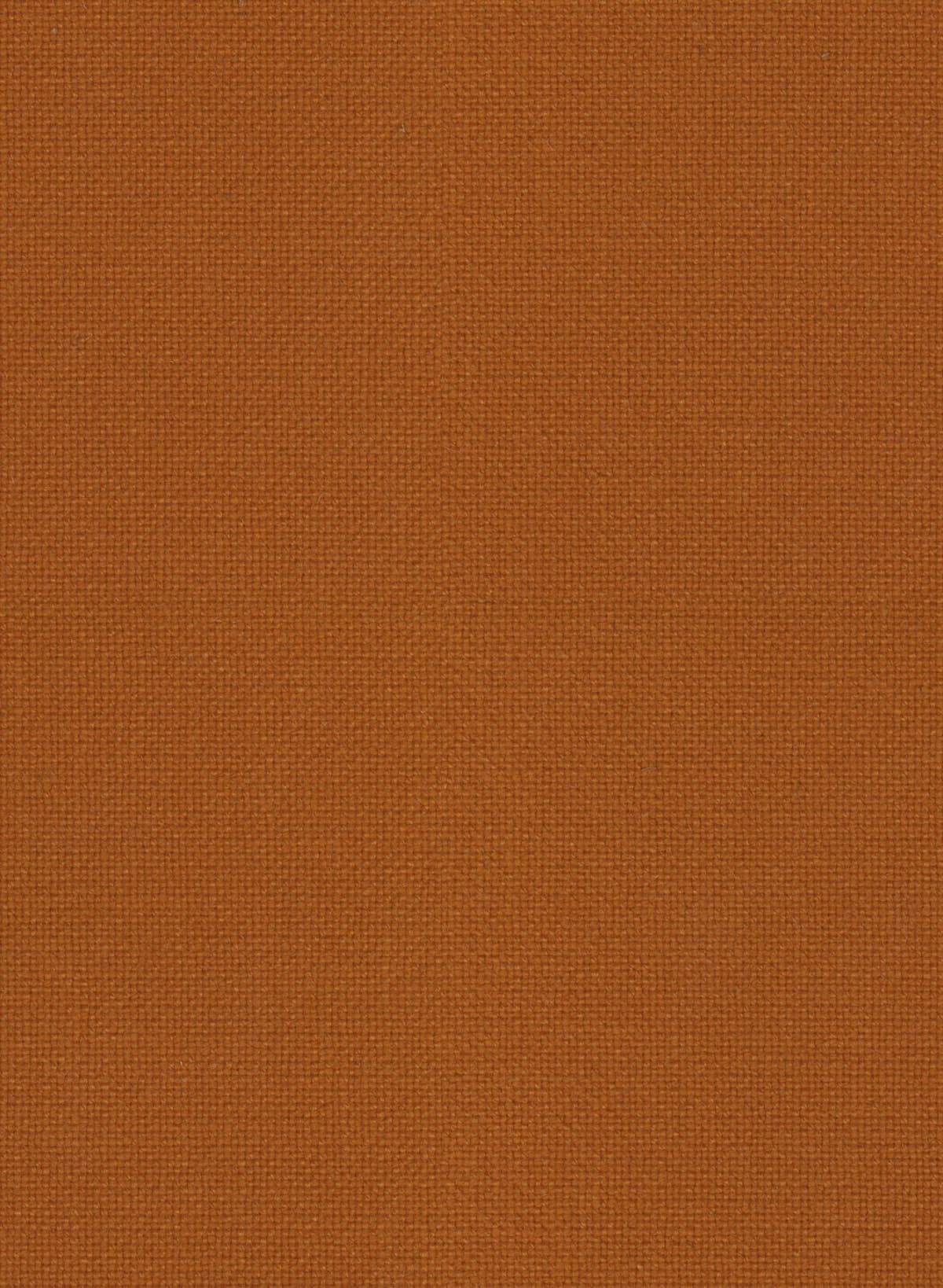 Hallingdal 65 in a rust colour