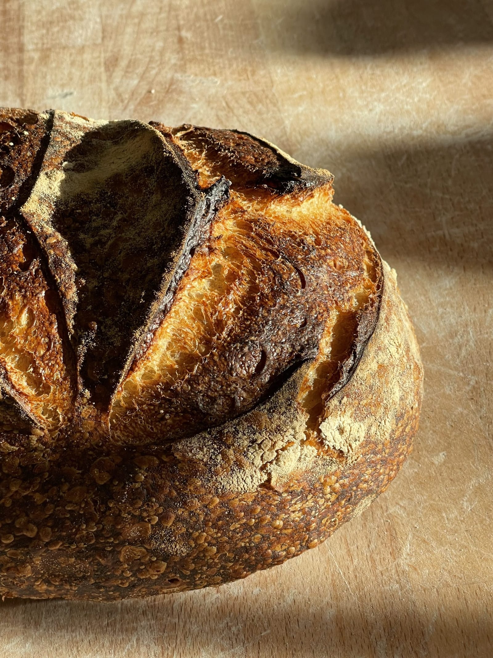 The City Loaf, crust and score