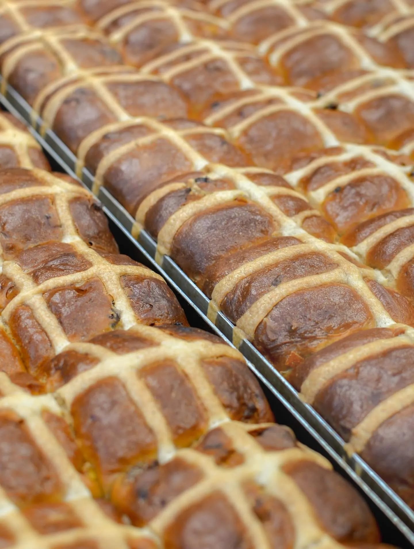Trays of hot cross buns