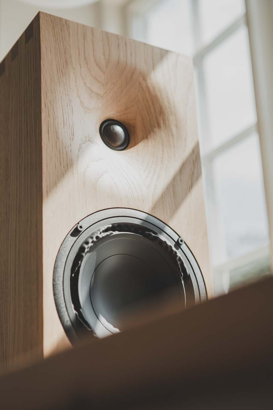 The E50 in solid oak, with its tweeter and Purifi woofer