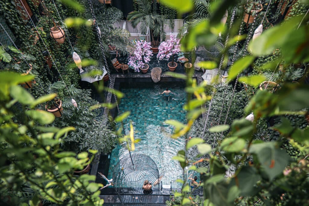 The Junglefish Pool seen from above