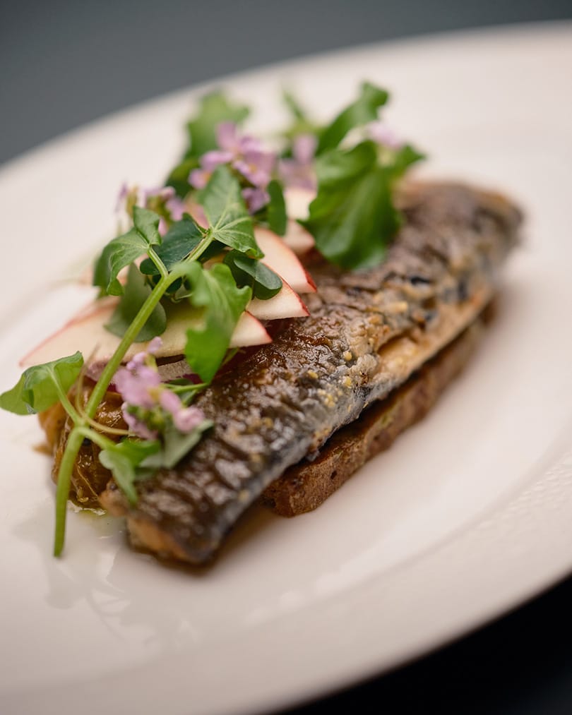 Fried herring with apple and cress on rye